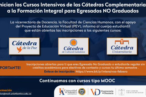 Cursos intensivos