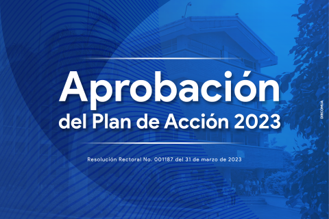 Aprobacion plan accion