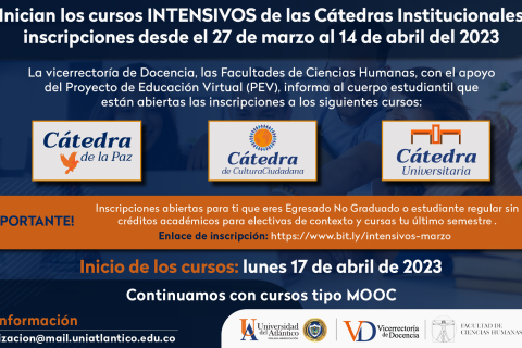 Cursos intensivos